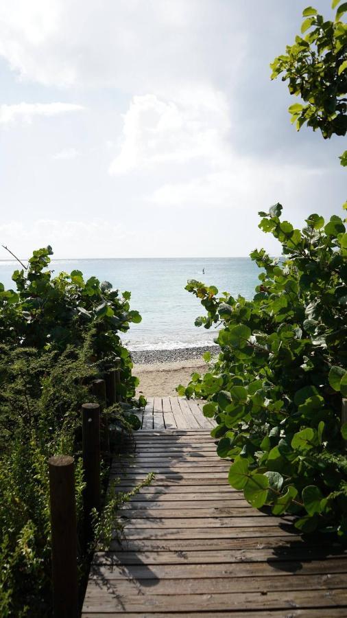 Coqui Beach Home, Culebra Isla Culebra ภายนอก รูปภาพ