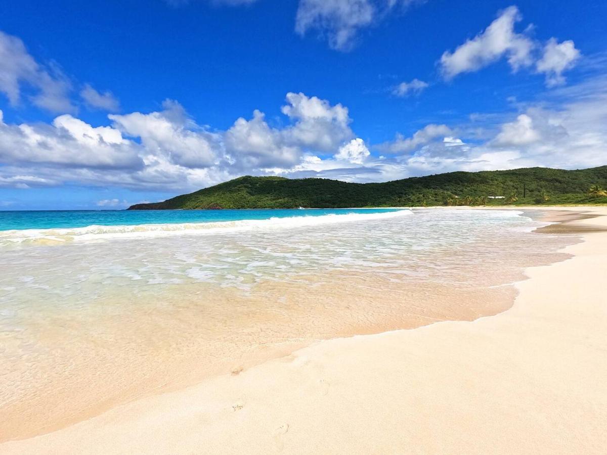 Coqui Beach Home, Culebra Isla Culebra ภายนอก รูปภาพ