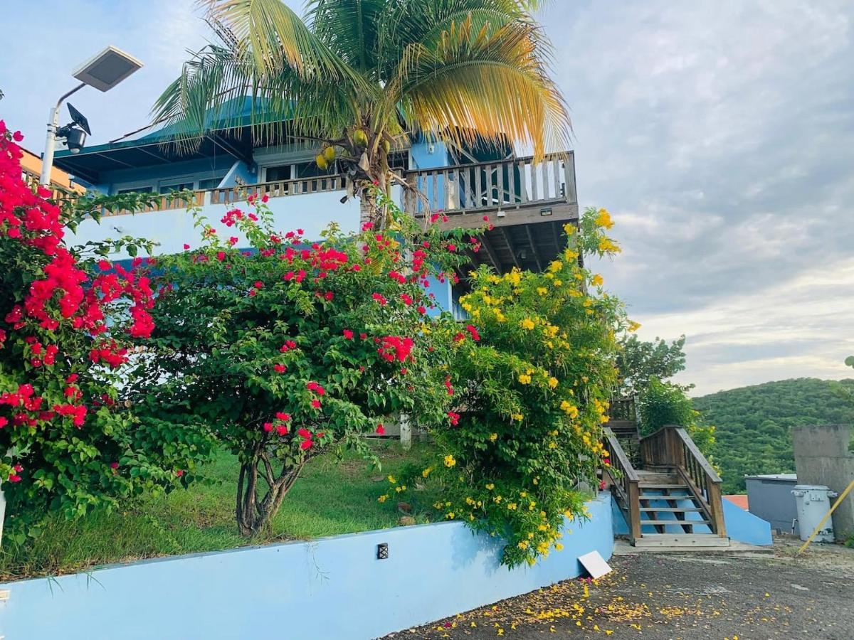 Coqui Beach Home, Culebra Isla Culebra ภายนอก รูปภาพ