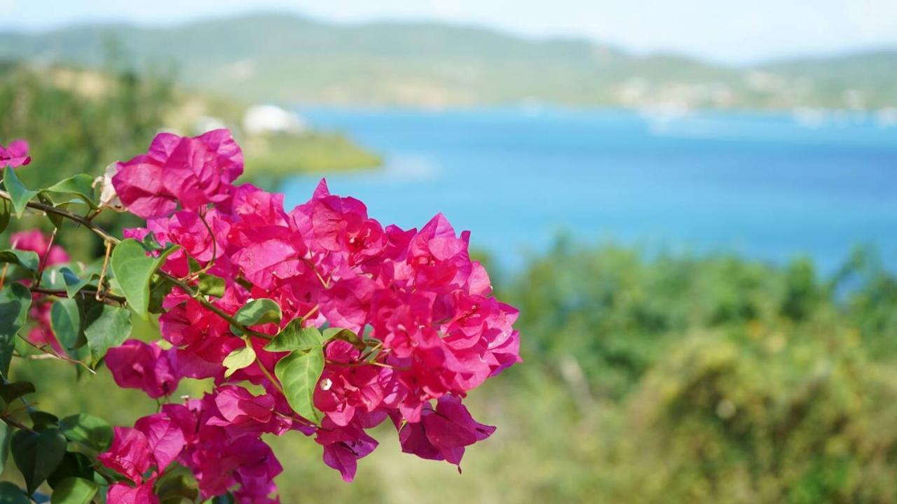 Coqui Beach Home, Culebra Isla Culebra ภายนอก รูปภาพ