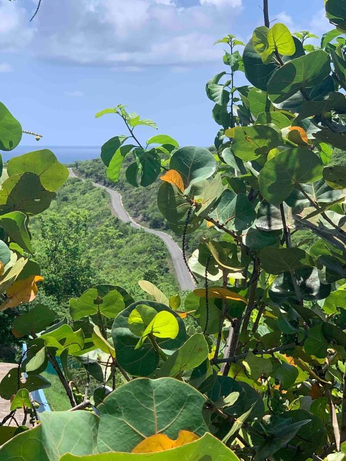 Coqui Beach Home, Culebra Isla Culebra ภายนอก รูปภาพ
